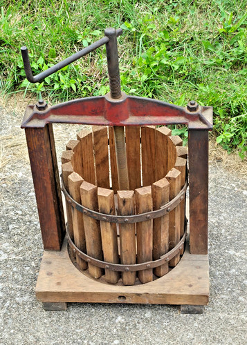 Vtg antique fruit grape - fruit,