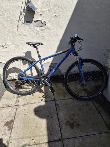 Carrera valour mountain bike - valour,