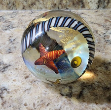 KENNY WALTON L Paperweight Sea Life Ocean Signed Starfish