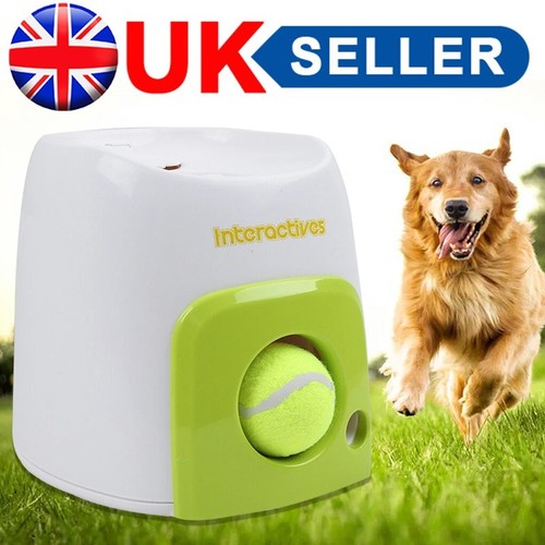 Dog automatic ball launcher - dog,