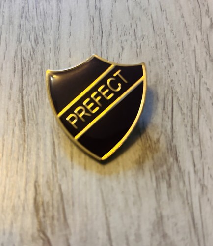 Prefect badge button pin - badge,