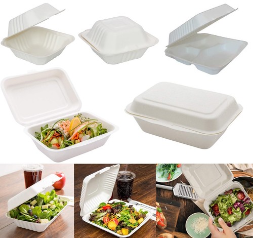 Bagasse food containers - food,
