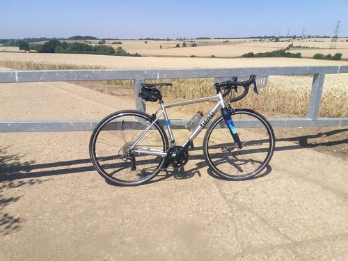 Tifosi rostra road - road, 50cm