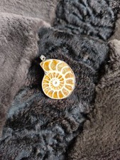 ammonite natural stone necklace 250 million years Madagascar