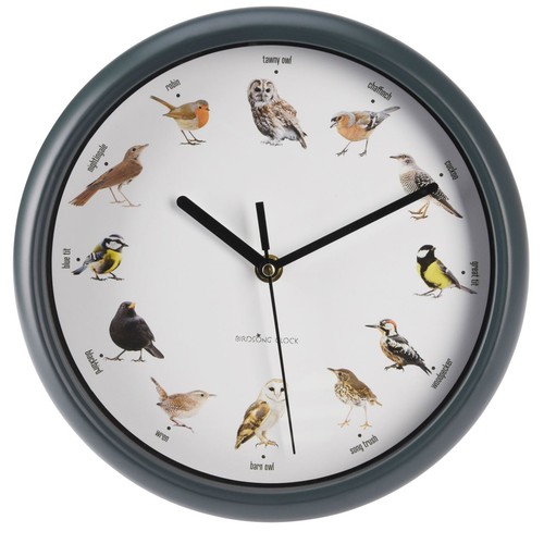 Birdsong wall clock - birdsong,