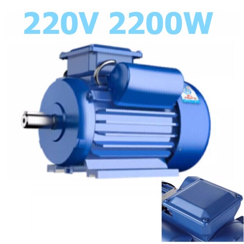 2200w 220v 3hp electric - 220v,