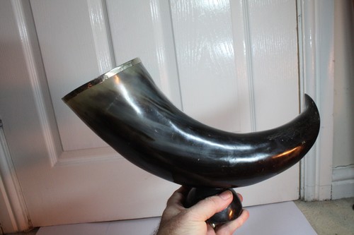 Vintage large cattle bull - large, horn
