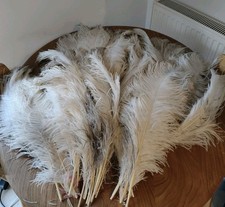 Huge lot of 47 Large Antique