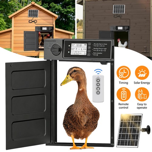 Automatic chicken door - chicken,
