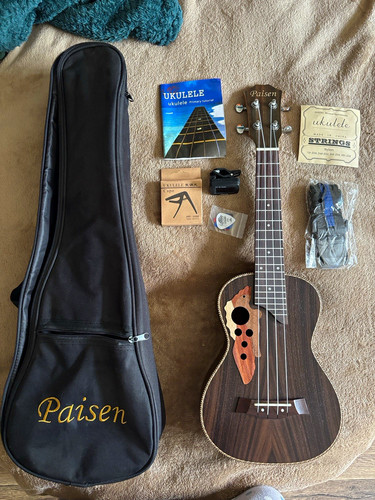 Paisen string acoustic - paisen, 4-string