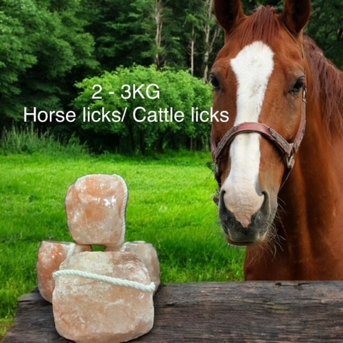Himalayan salt lick - himalayan, for