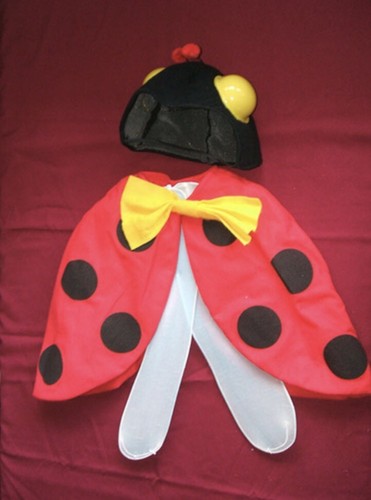 Dressing bug kids ladybug - dressing,