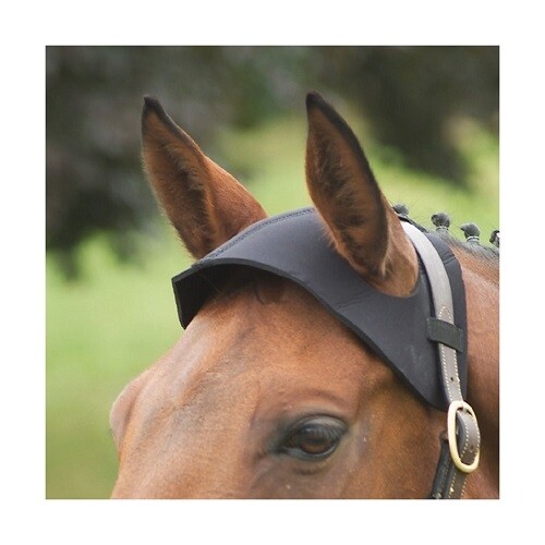 Poll guard durable - poll,