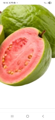 Guava red pink - guava, red/pink