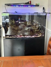 Red sea reefer - red, aquarium