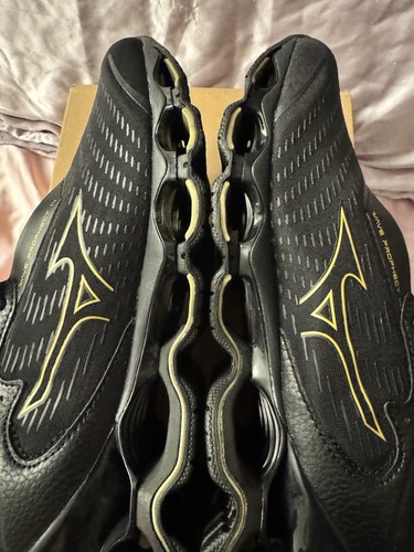 Mizuno wave prophecy - mizuno, 14