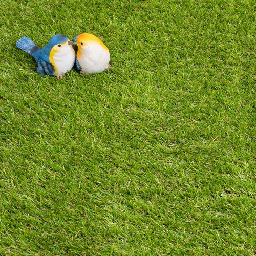 Artificial grass 30mm 5m - 30mm, 2m
