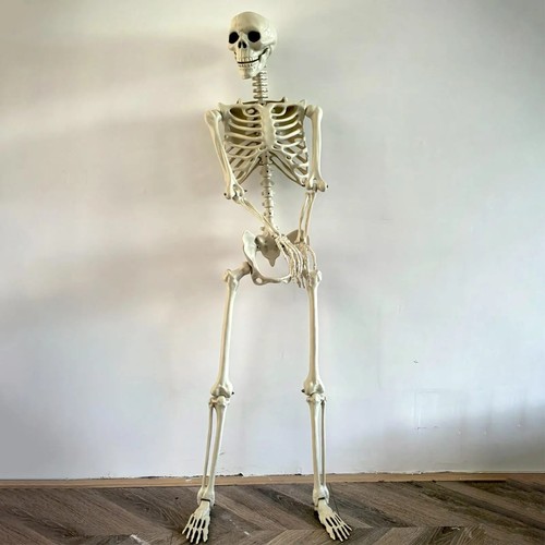 Full life size 90cm - life,