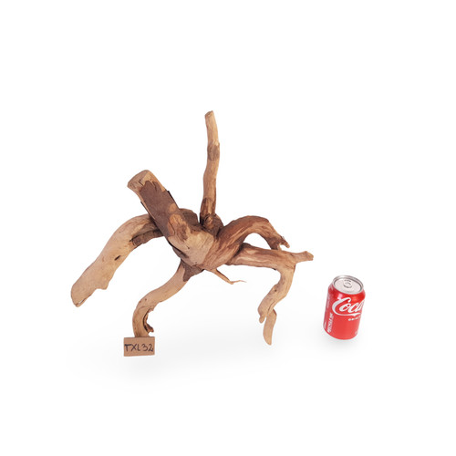 Aquarium driftwood fish - aquarium, tank