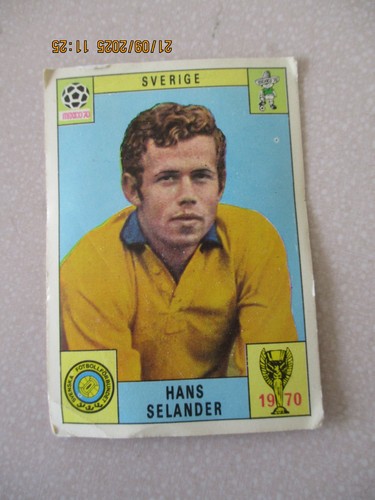Panini mexico original - panini, 70