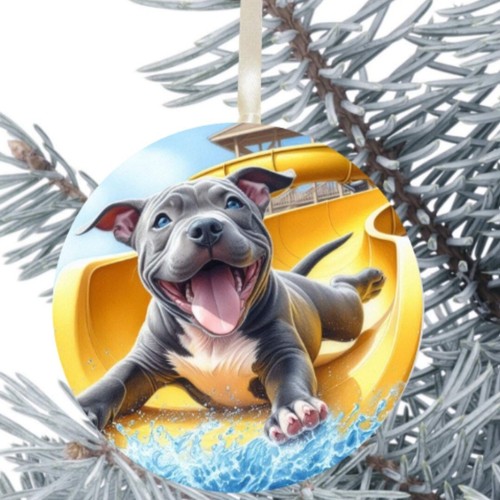 Staffordshire bull terrier - staffordshire, dog