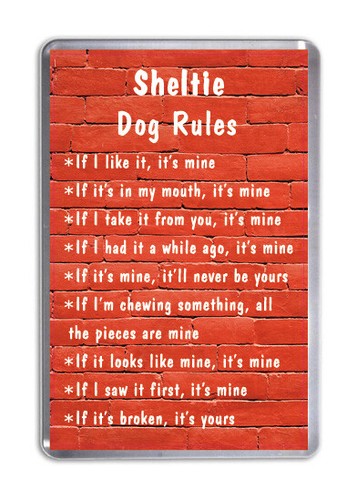 Sheltie dog rules funny - sheltie,