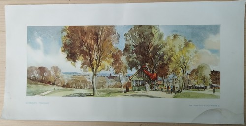 Harrogate yorkshire - (stray),