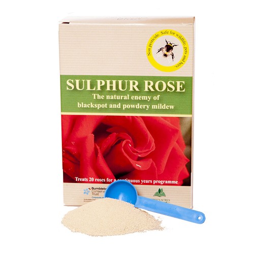 Rose care tonic sulphur - rose,