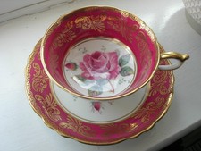 Paragon - Pink Cabbage