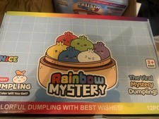 Viral Mystery Dumpling Squishy