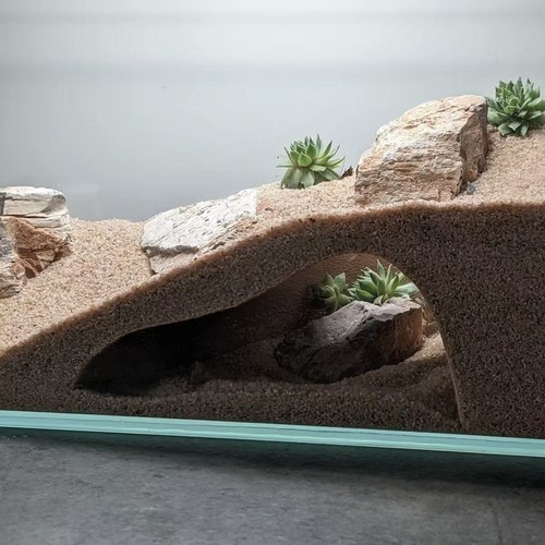 Aquarium underground hiding - underground,