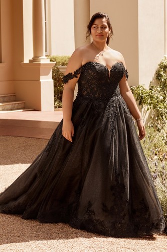 Sophia tolli y12248 black - sophia,