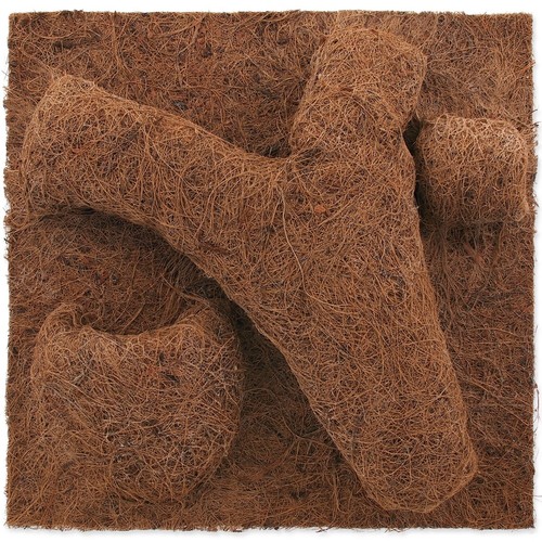 Repti planet coco - planet, planter