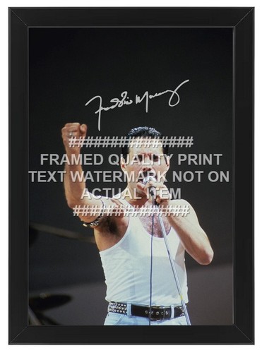 Freddie mercury signed - freddie,
