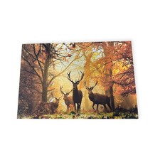 Wildlife Stag Painting Print