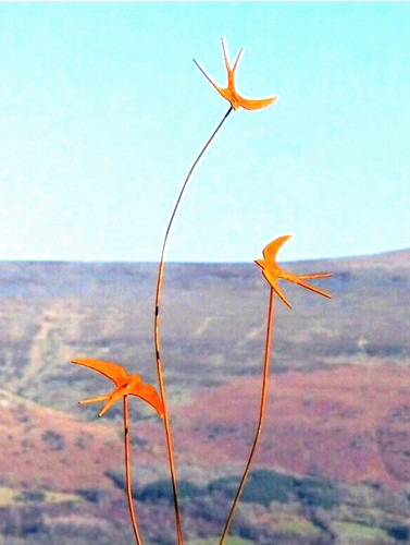 Metal garden decoration - decoration, triple