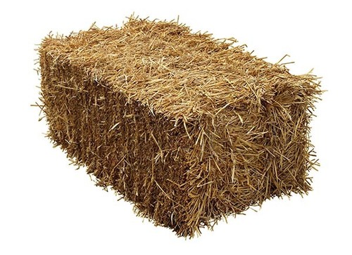 Fleet farm barley straw bale - straw,