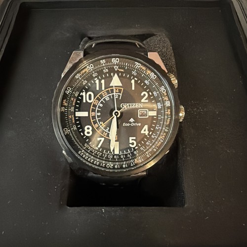 Citizen men promaster - men's,