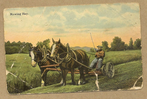 Antique mowing hay postcard - antique,