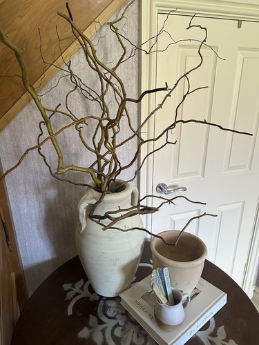 Twisted willow branches - twisted,