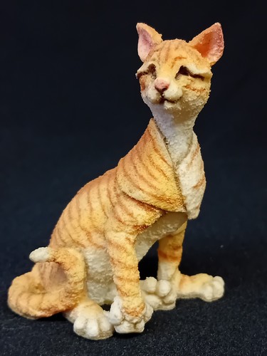 Breed apart tabby - apart, '