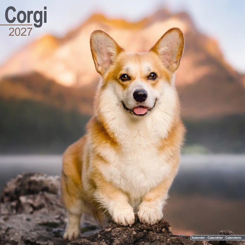 Corgi 2027 calendar dog - 2027,