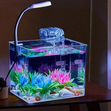 Fish Bowl Clear Aquarium Fish