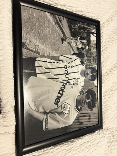 Oasis framed picture - oasis,