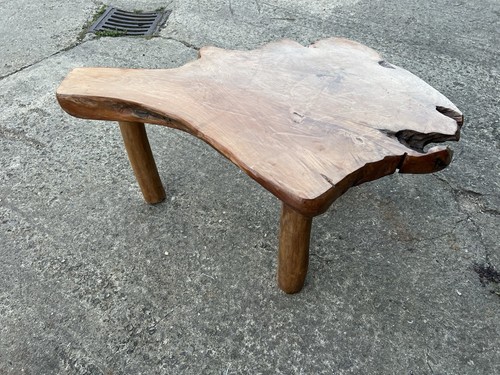 Tree root coffee table - tree,