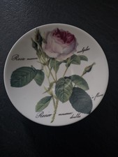 Roy Kirkham Redoute Roses Fine Bone China Saucer