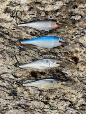 Rapala Shad Rap 9 Lures