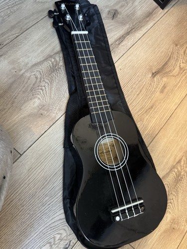 Ukulele beginners concert - beginners, 23