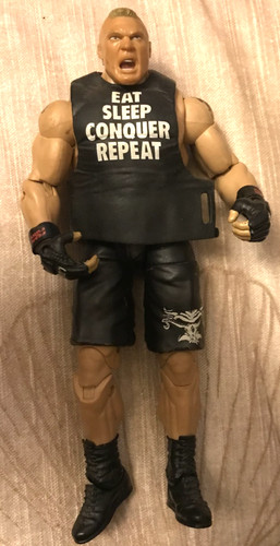 Wwe brock lesnar wrestling - brock,