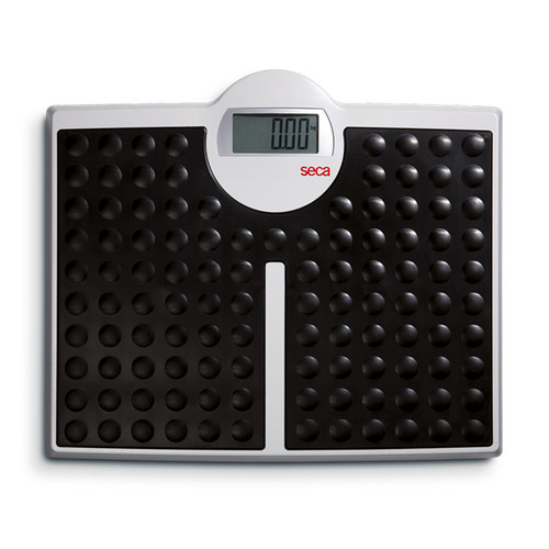Digital personal flat - flat, scale